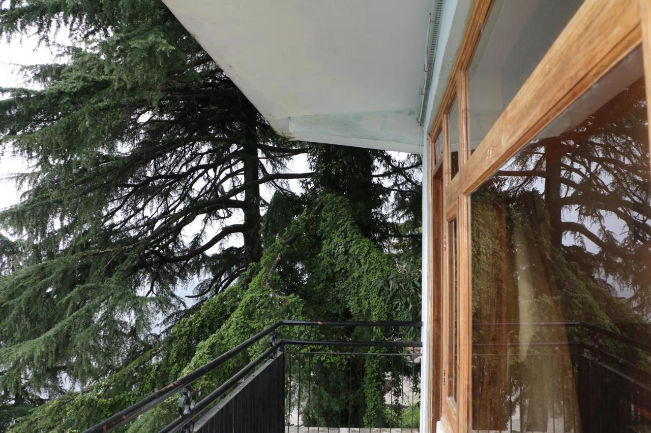 Pema Thang Hotel Kangra Exteriér fotografie