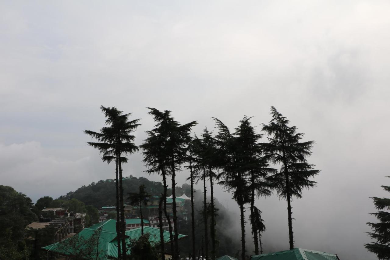 Pema Thang Hotel Kangra Exteriér fotografie